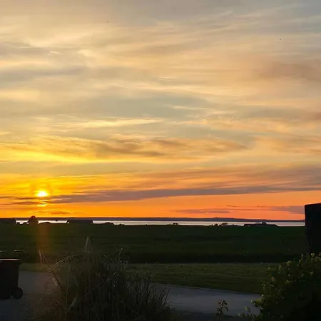 Nyaraló 5 Star In *